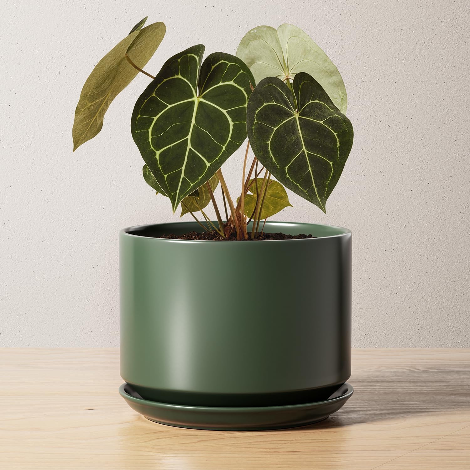LE TAUCI Ceramic Pots for Plants, 10 Inch Plant Pot with Drainage Hole & Saucer, Sturdy & Modern Planters for Indoor Plants, Includes Mesh Screen, Fits Snake Plant & Monstera, White